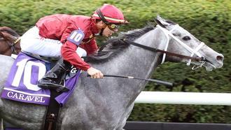 Breeders' Cup 2022 | Daily Racing Form